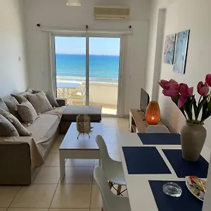 Alex 31 Larnaca